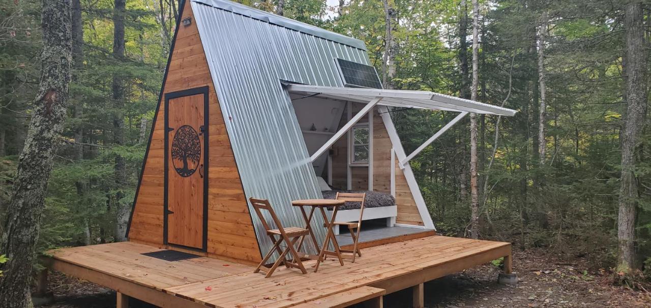 La Cabane Secrete Matane Dış mekan fotoğraf