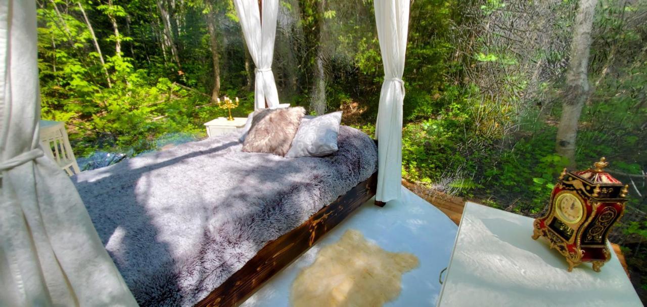 La Cabane Secrete Matane Dış mekan fotoğraf